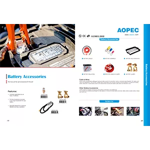 battery accessories flyer