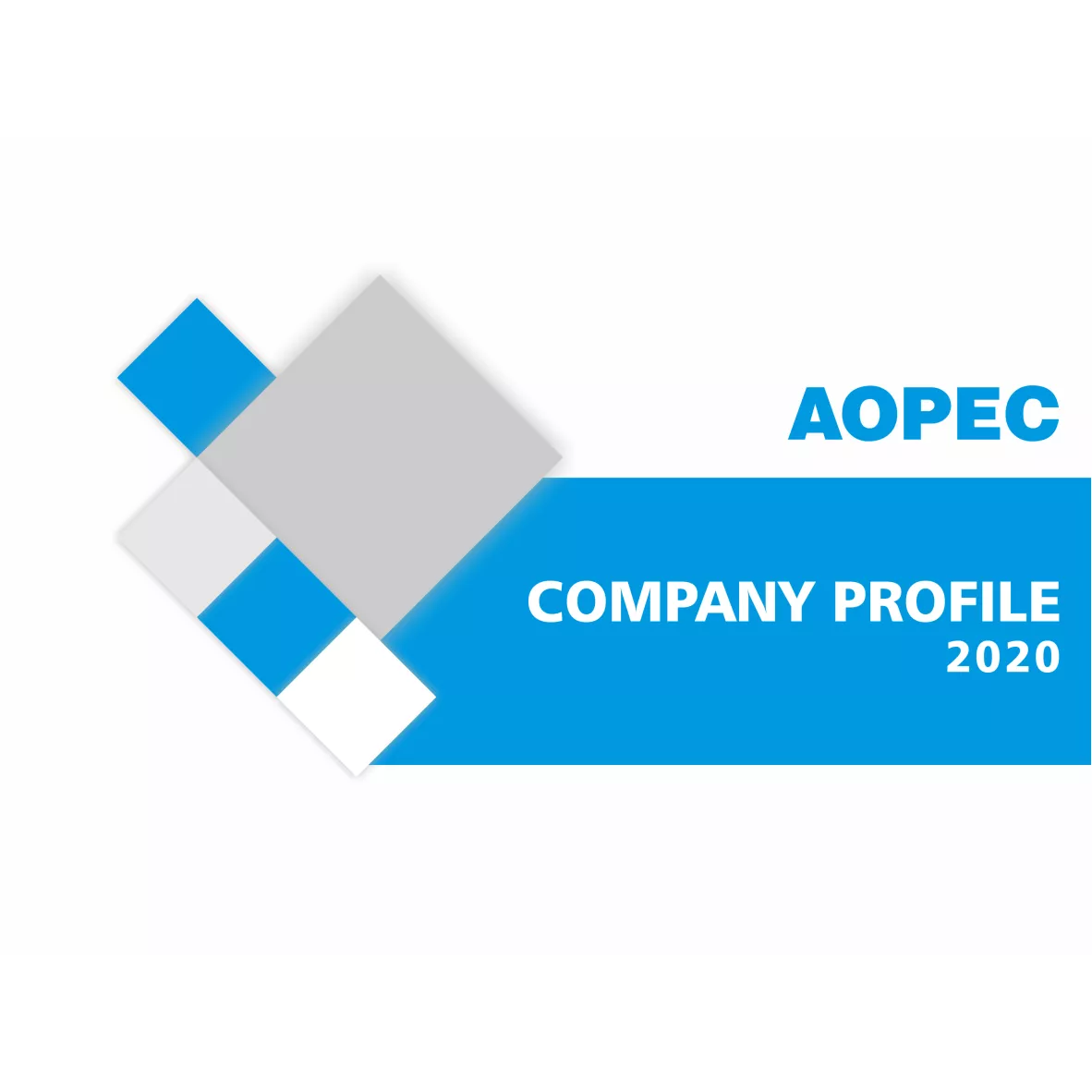 company profile