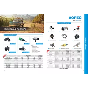 switches sensors flyer